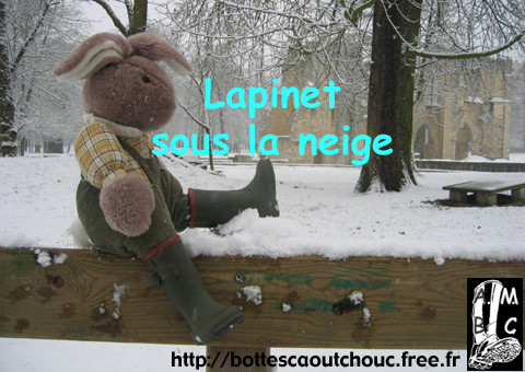 Lapinet wearing wellies near Abbaye du Lys, France.