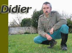 cliquer pour agrandir / click to enlarge / vergrössern hier
