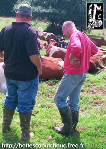 Among the cows, Christian & J-Pierre