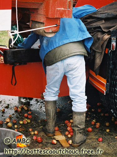Crushing the apples, France, 2006. Bottes caoutchouc.