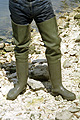cliquer pour agrandir / click to enlarge / vergrössern hier