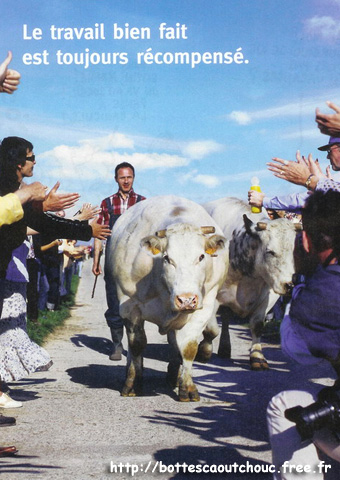 EQWALIS, BELGIUM, 2004.