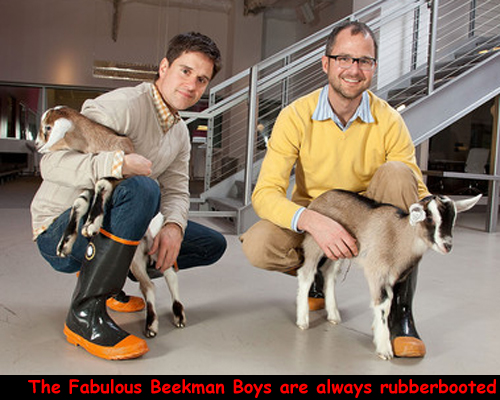 Of goats and wellies. Gummistiefel, galochas, rubber laarzen, gumboots, bottes caoutchouc.