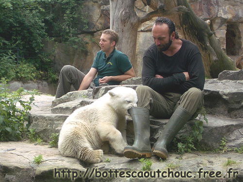 BEAR LIN  / BÄR LIN / BERLIN