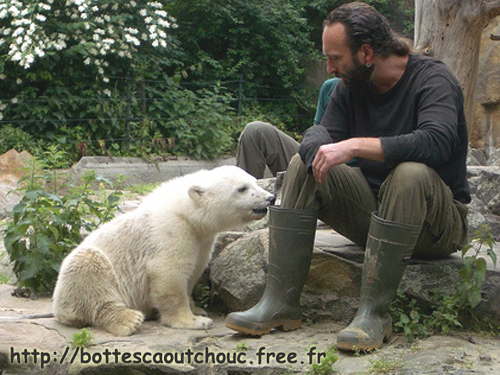 BEAR LIN  / BÄR LIN / BERLIN