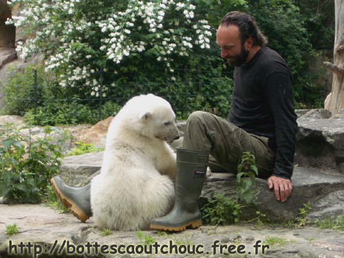 BEAR LIN  / BÄR LIN / BERLIN