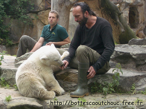 BEAR LIN  / BÄR LIN / BERLIN