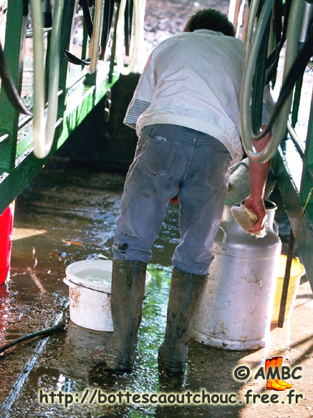 Wellies are also useful to wear when you wash the place. 