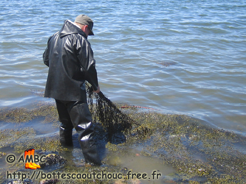 In the sea, June 2007.