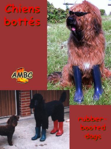 Dogs, as human beings? Gummistiefel, bottes caoutchouc, rubber boots.
