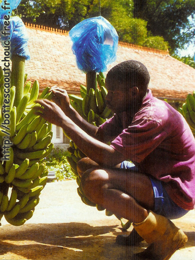 Antilles: bananas; rubber boots, Gummistiefel, 2007.