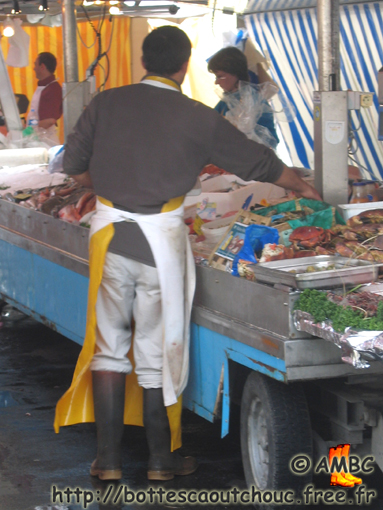 Crabs & wellies, 2007; rubber boots, Gummistiefel.
