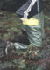Siggi