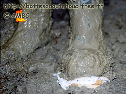 MUDDY WELLIES VS FISHBURGER