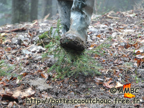 RUBBER BOOTS VS FIR TREE