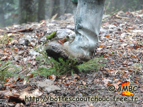 RUBBER BOOTS VS FIR TREE