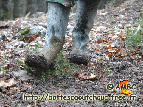 RUBBER BOOTS VS FIR TREE