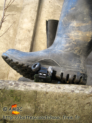 THE AGONY OF THE QUAD, 2008.