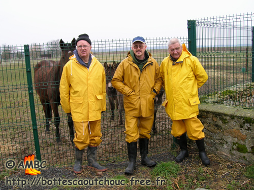 Horses, donkeys  & welliemen, 2006. 