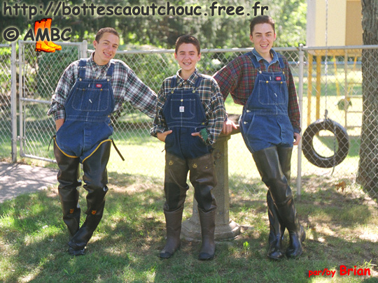 Hurrah for the waders !