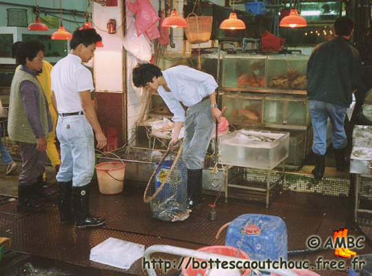 Fish shop; Gummistiefel, botas de hule, Dec. 1992.