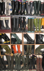 COLLECTION