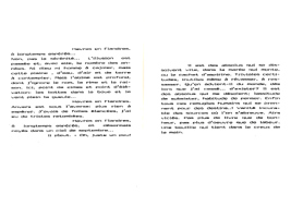 cliquer pour agrandir / click to enlarge / vergrössern hier
